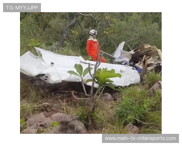 巴西坠机遇难者系北大知名教授，巴西坠机事件