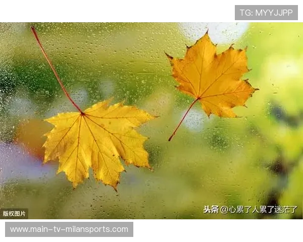 比赛耐心被不断考验，比赛耐心被不断考验的说说